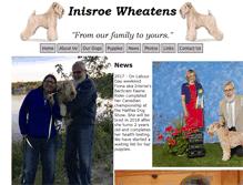 Tablet Screenshot of inisroe-wheatens.com